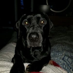 Meet your Posher, Sabrina